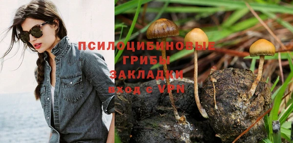 СК Балахна
