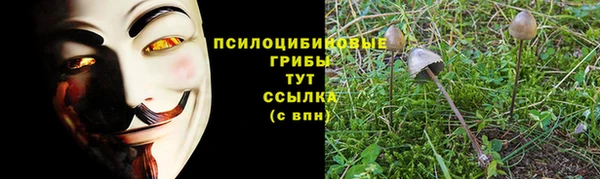 хмурый Балабаново